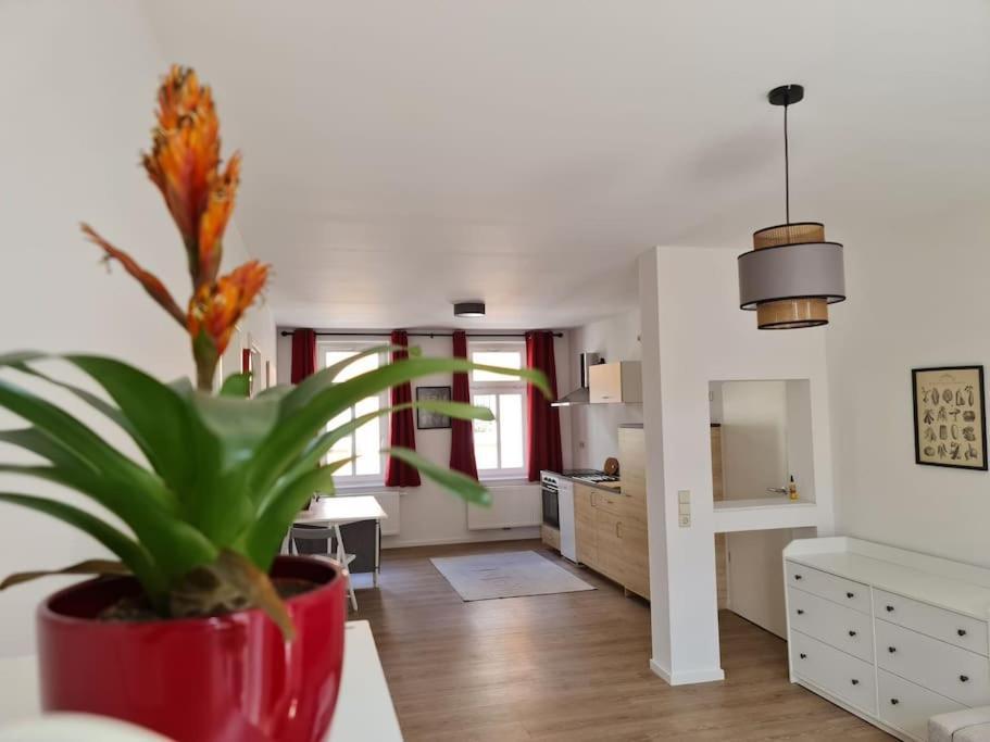 Cityappartement Am Bauhaus-Museum Weimar  Eksteriør bilde